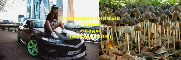 круглые Арсеньев