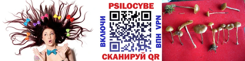 Псилоцибиновые грибы ЛСД площадка как зайти Суровикино купить закладку